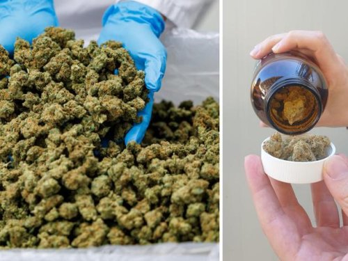 „Aberwitzige“ Preise für medizinisches Cannabis: „Deutlich günstiger als der Schwarzmarkt“