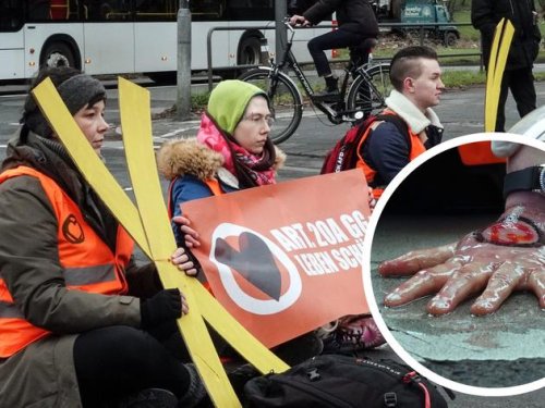 Klimakleber blockieren Straße in Köln: Das hat Konsequenzen
