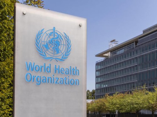 Weltgesundheitsorganisation entscheidet: Affenpocken sollen neuen Namen erhalten