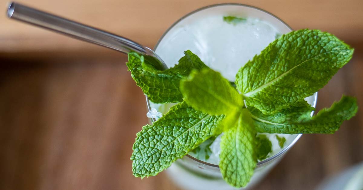 Mojito Recipe
