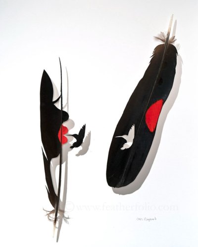Les étonnantes sculptures de plumes découpées de Chris Maynard - 2Tout2Rien