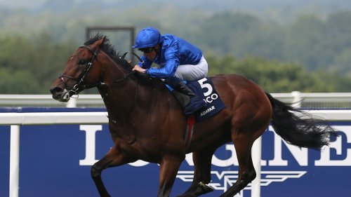 Adayar ruled out of Royal Ascot date