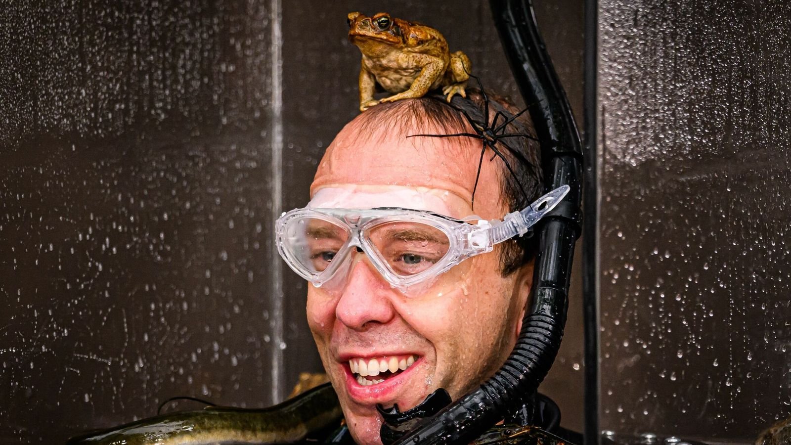 Matt Hancock finishes third in I'm a Celebrity... Get Me Out of Here! as Jill Scott is crowned queen of the jungle