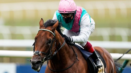 John Of Gaunt Stakes: Lockinge Stakes run suggests Sunray in with Major chance at Haydock for Gosden team