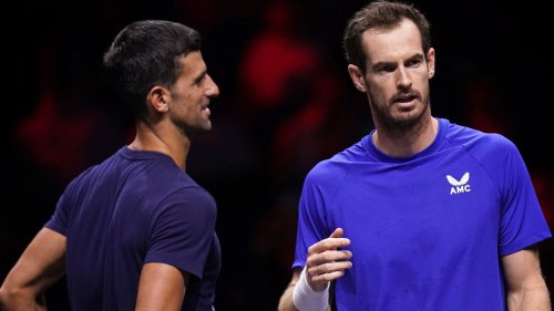 Novak Djokovic: World No 6 admits he and Andy Murray could not get more out of their six-month partnership
