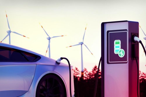 Electric Vehicles on the Road to Sustainability