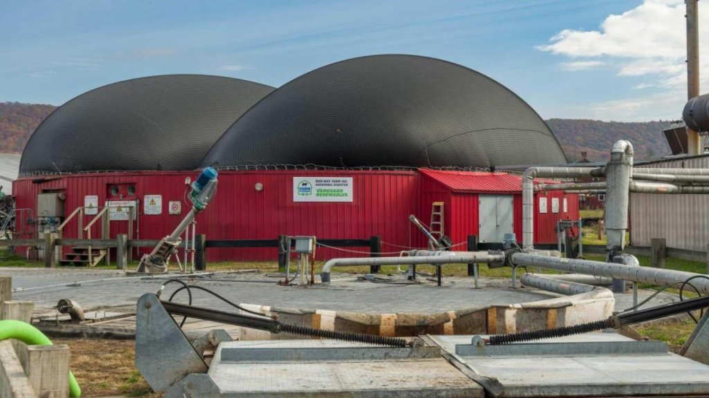 Biogas - cover