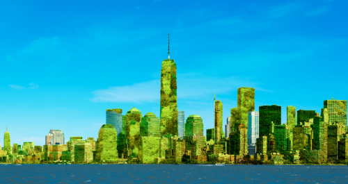 Reflections on NY Climate Week: Three Key Takeaways for a Sustainable Future