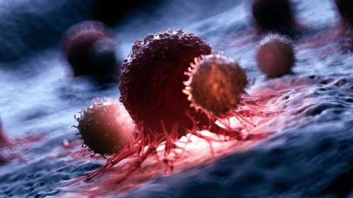 The Power of Dual Immunotherapy