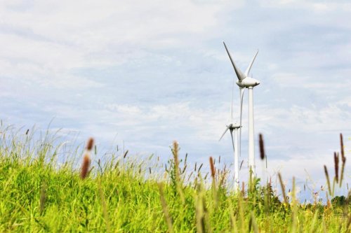 Cisco’s Sustainability 101: What Are Smart Grids?