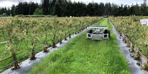 Agriculture and Renewable Energy Land Management With Robotics