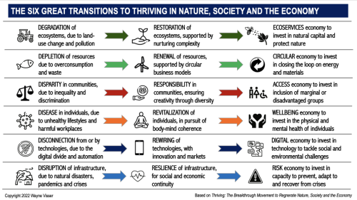 The Six Great Transitions to Regenerate Nature, Society and the Economy