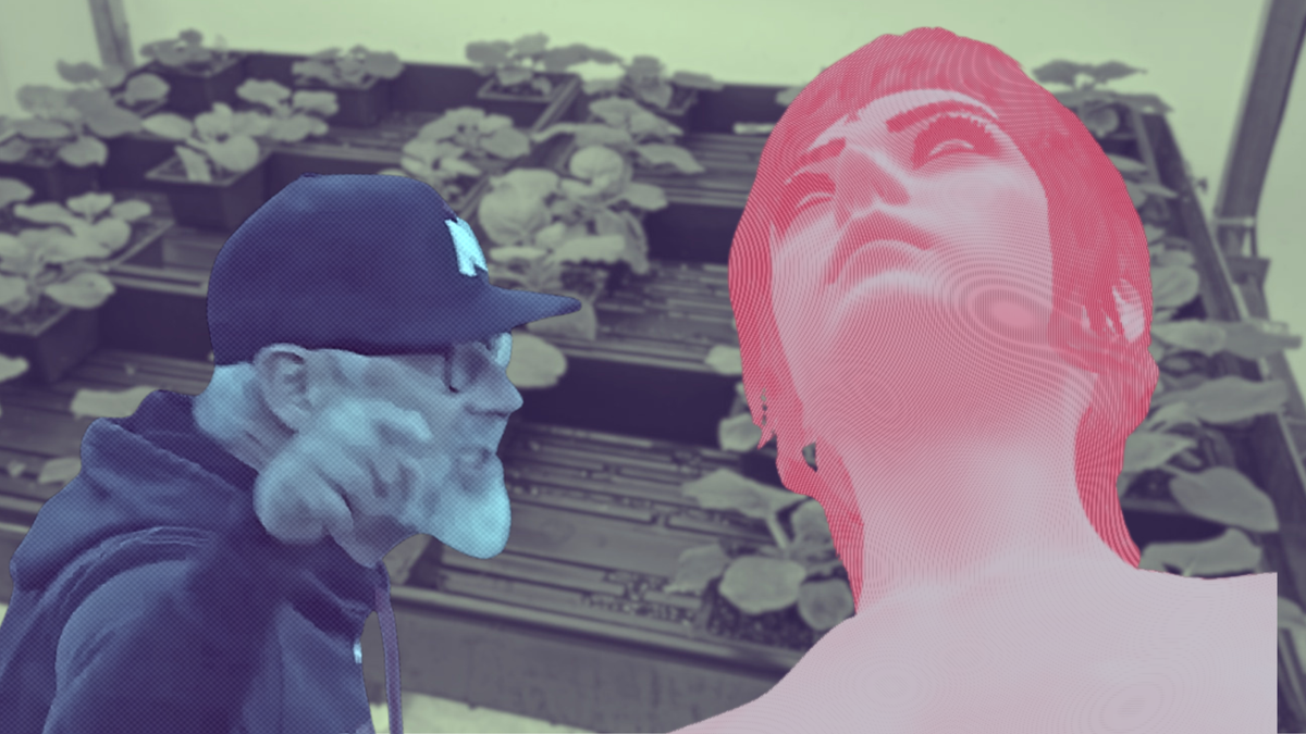 Behind the Blog: Systems As Designed