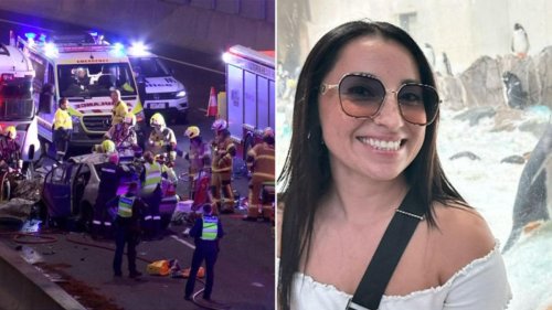 Mum fighting for life in hospital after driving on wrong side of road before head-on truck collision