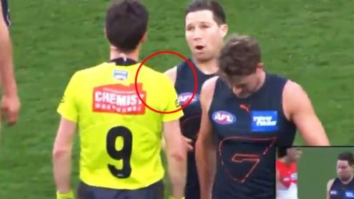 Lush Crows Defender Charged By Match Review Officer Capture Nature Lush Crows Defender Charged By Match Review Officer Capture Nature