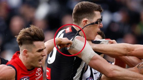 Mason Cox Has Last Laugh In Collingwood’s Win Over Adelaide After Ben ...