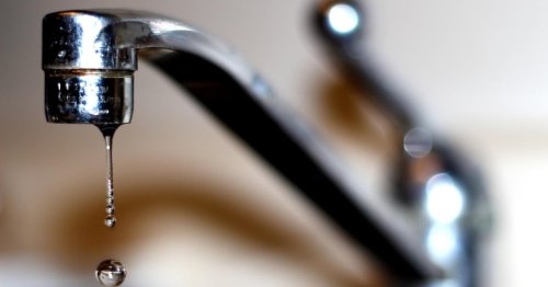 La sécheresse après deux années pluvieuses: où est passée toute l’eau tombée en 2023 et 2024?