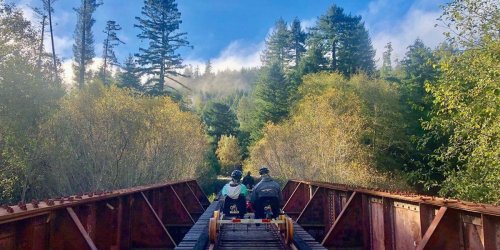Ride through the mighty redwoods on Skunk Train's sweet new railbikes