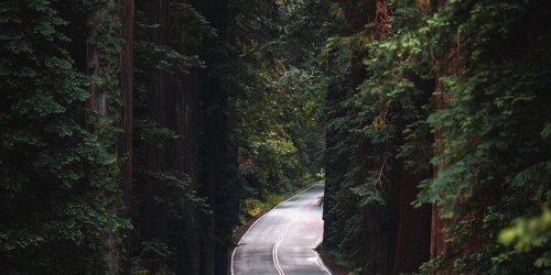 Redwoods Road Trip, Stop 4: Backpacking at Redwood National and State Parks