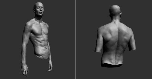 A Comprehensive List of Tips and Tricks on 3D Sculpting
