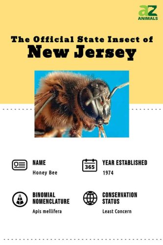 discover-the-official-new-jersey-state-insect-flipboard