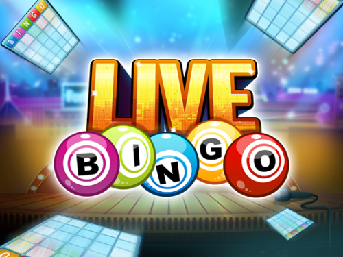 http://aaaliens.com/live-bingo-online/ cover image