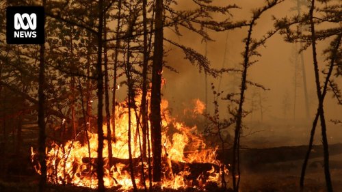 Wildfires rage across Yakutia, Siberia, threatening a power plant and disrupting transport