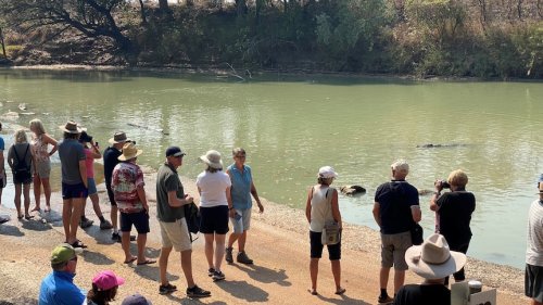 'Someone is going to die': Shocking footage of tourists ignoring crocodile warnings in Kakadu