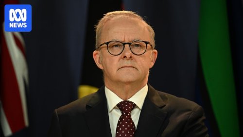 Albanese says 'unjustified' US tariffs on Australia poor way to treat a friend