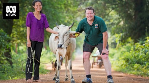 Cows for Cambodia charity helps lift people out of poverty