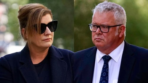 Former WA treasurer Troy Buswell admits to repeatedly kicking ex-wife as she lay on ground