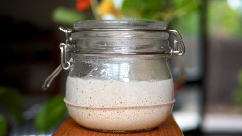 How to make sourdough starter for the first time. Everything you need to know - ABC Everyday