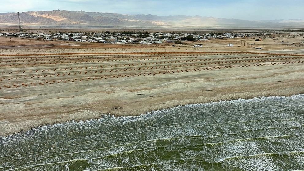 Environmentalists sound the alarm on Salton Sea as oasis is left in the dust