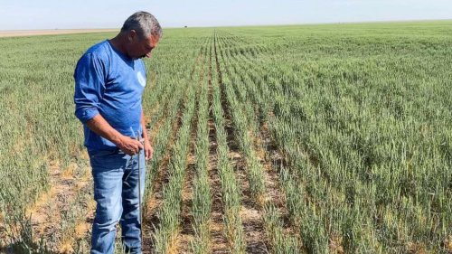 How the agriculture industry must adapt to megadrought in the West: Experts
