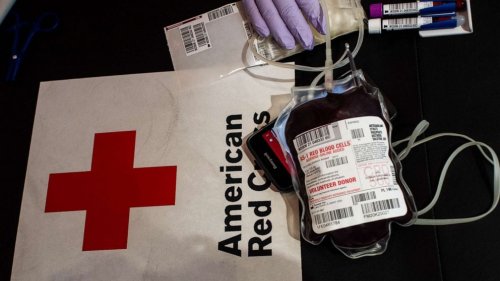 Biden administration speaks out on federal blood donation policy impacting gay men amid national blood shortage
