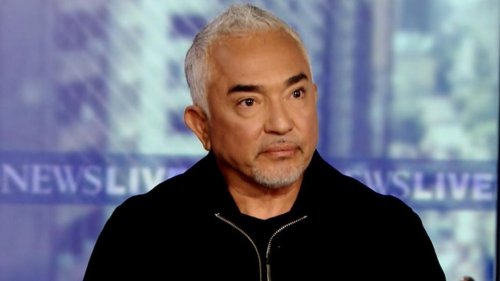 Video Cesar Millan talks about how training dogs can make us better humans