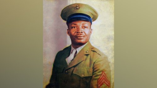 Daughter of 1st Black Marine says it's 'unbelievable' to see 'my dad caught up in DEI'