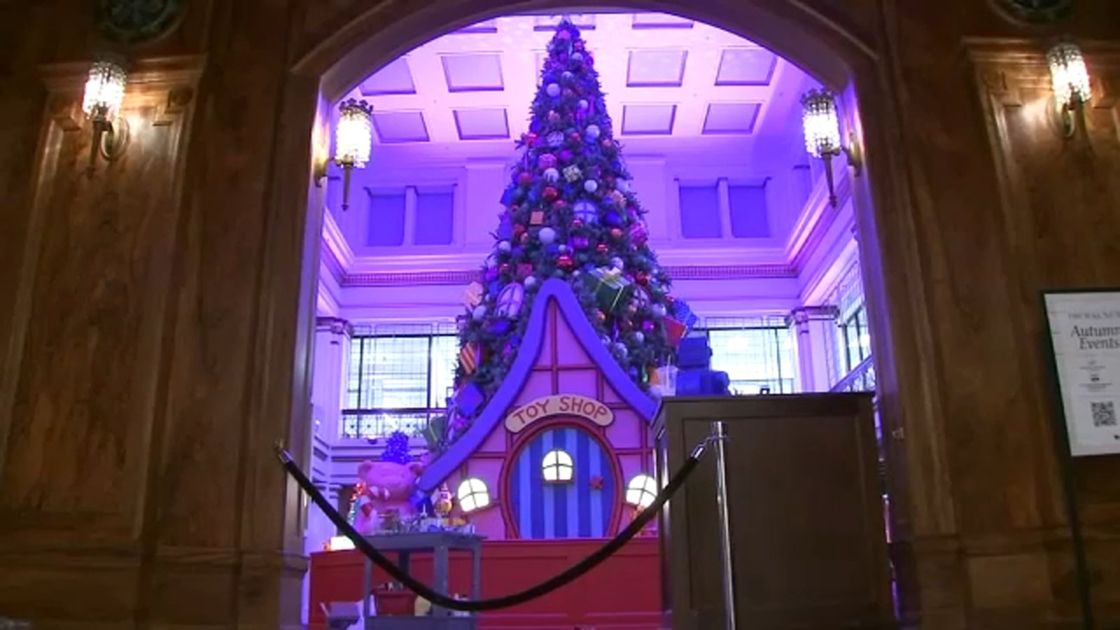 Chicago's Macy's on State Street prepares to unveil holiday window displays, Walnut Room Great Tree