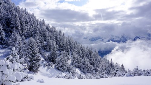 Wintertraum: Was du beim Winterwandern wissen solltest