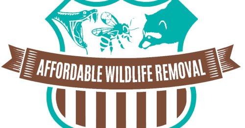 Affordable Wildlife Removal Orlando on about.me