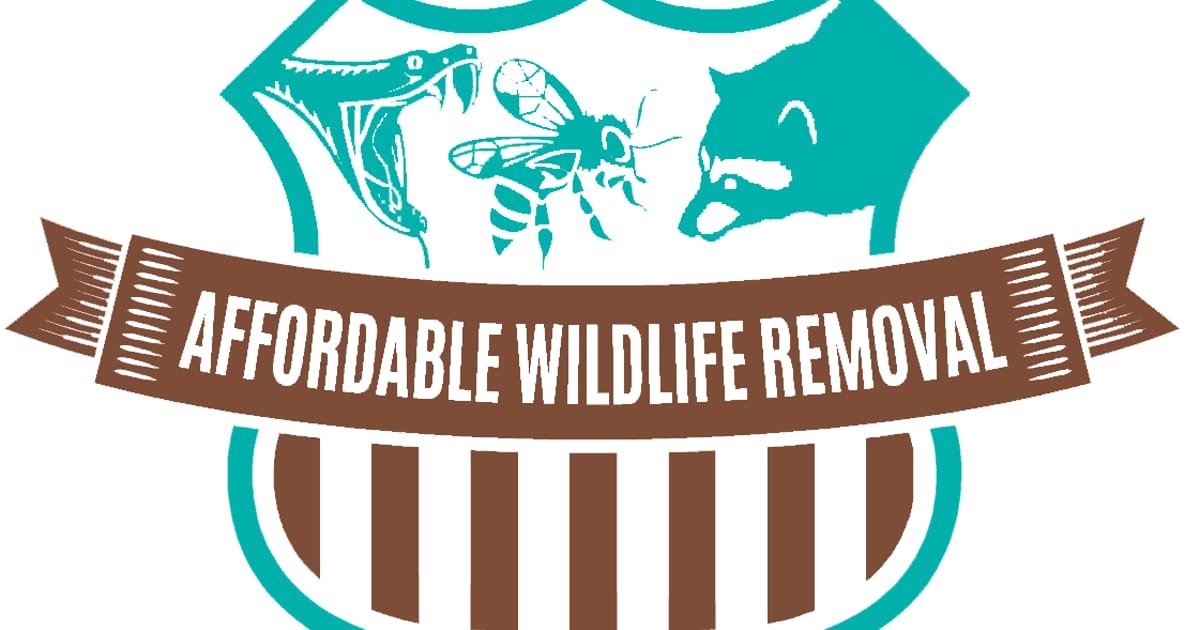 Snake Removal Services Near Me cover image