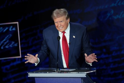 Trump DOJ *Still* Trying To Grab E. Jean Carroll By The Process