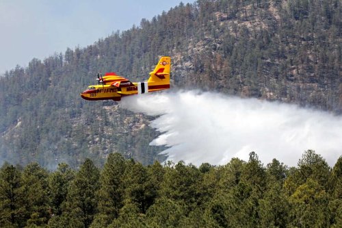 Calf Canyon Fire ignited from 'zombie fire'