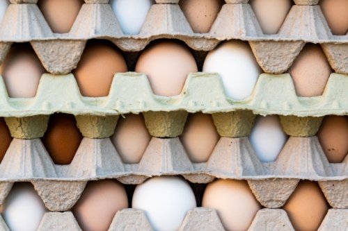 Egg shortage worsens amid bird flu, consumers face high prices and purchase limits