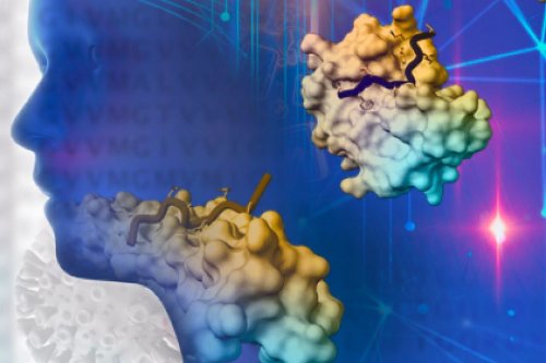 COVID Long-Haul Symptoms May Be Caused By Another Virus