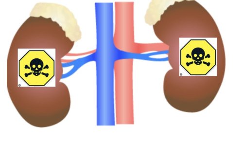 A Japanese Dietary Supplement Kills Kidneys (and Their Owners)