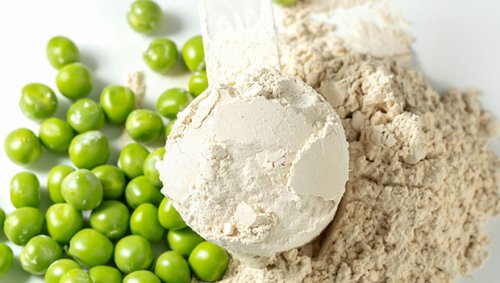 Pea Protein vs. Whey: Get the Scoop Here
