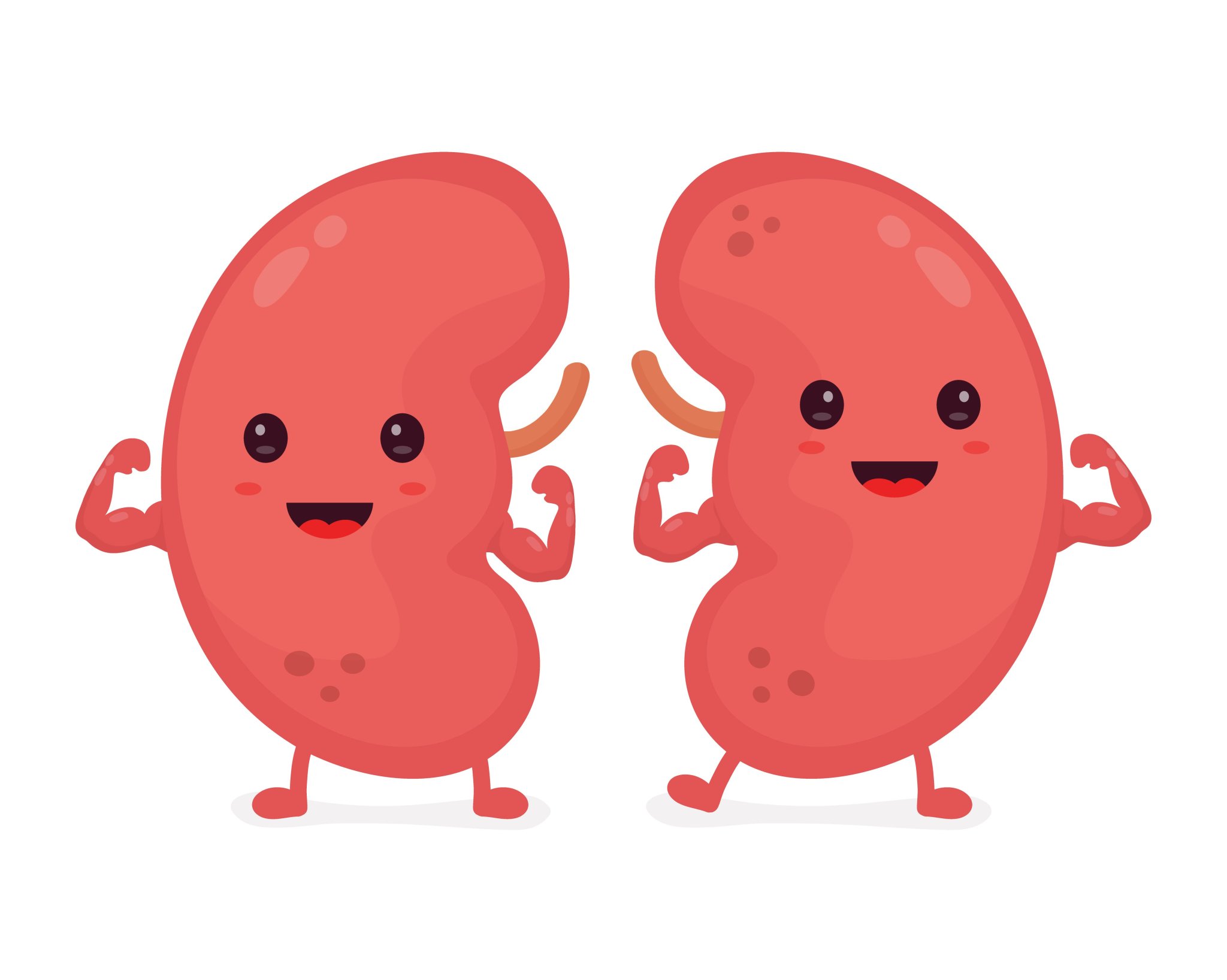 The Amazing Membrane That Saves Your Kidneys - 3vp3dn1