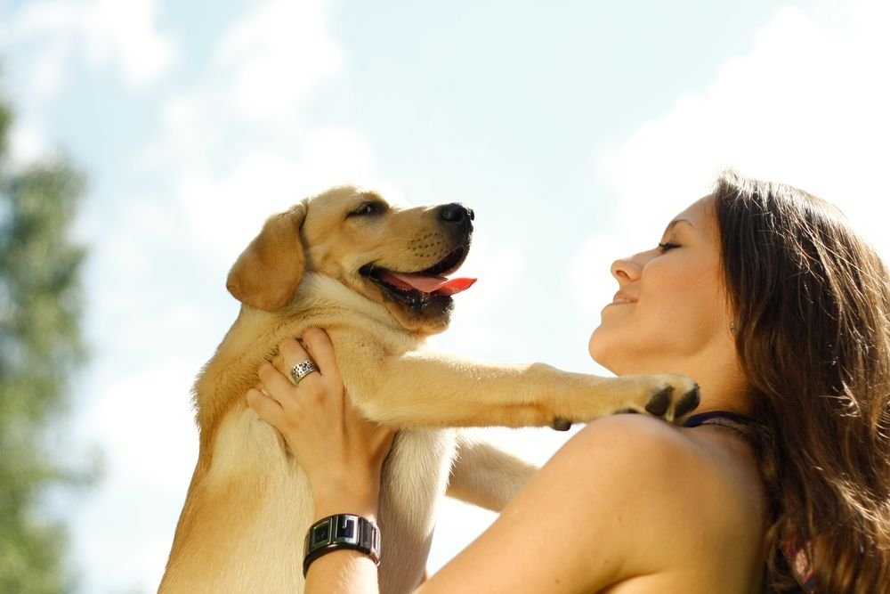 6 Ways Pets Can Improve Your Health