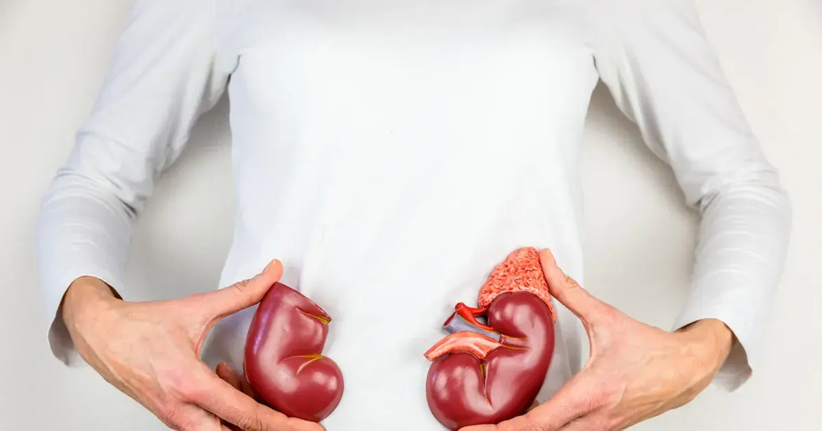 Popular Home Remedies for Kidney Infections